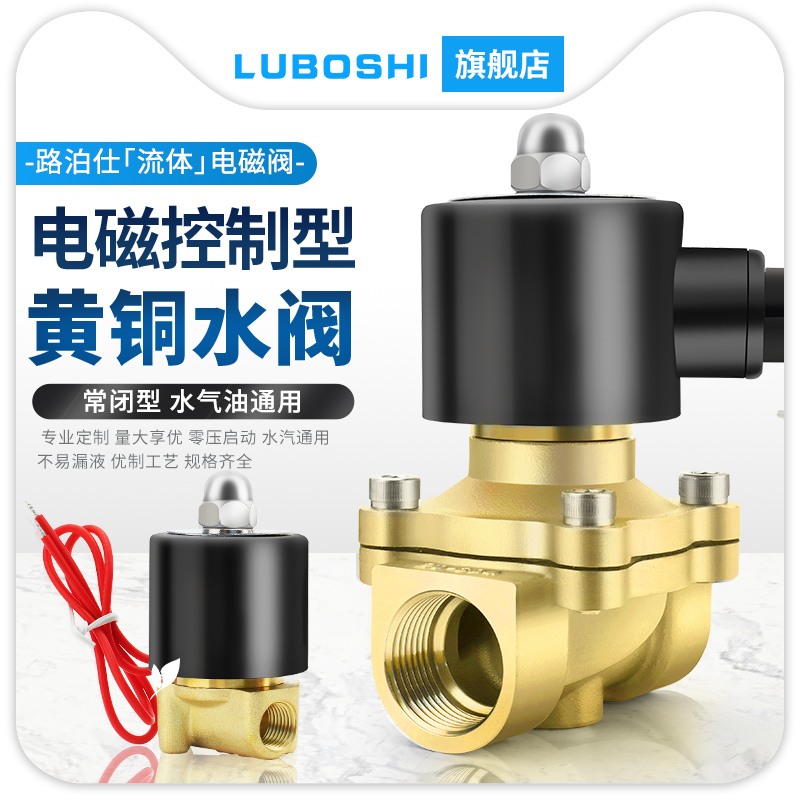 LUBOSHI全铜常闭电磁阀水阀2分4分6分1寸2寸气阀水阀AC220V开关阀