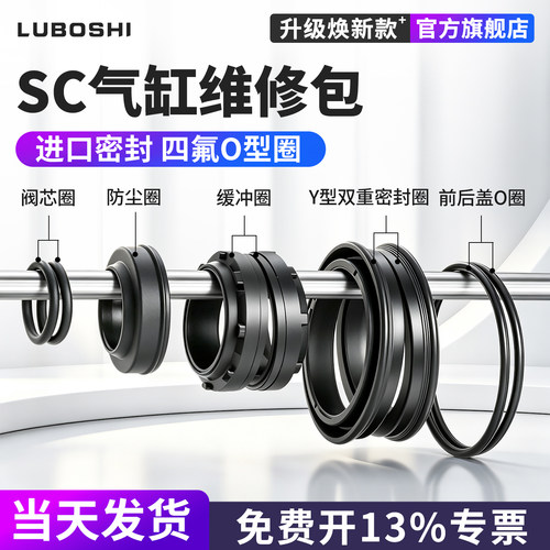 路泊仕标准SC气缸密封圈维修包