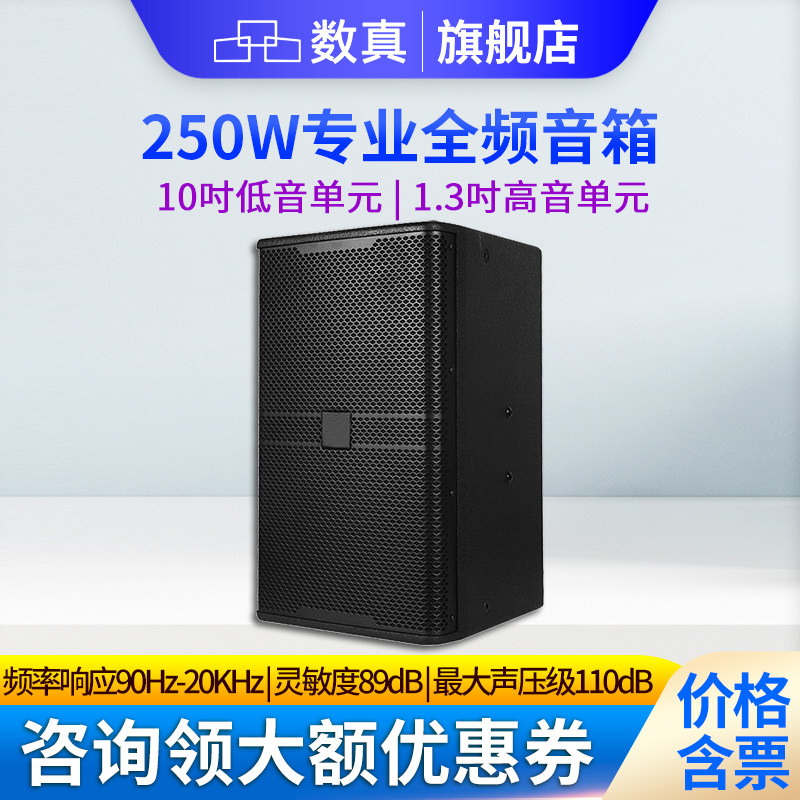 数真视频会议专业全频音箱10吋/12吋/15吋大功率250W300W500W会议室音响婚庆演出会议校园广播户外SZ-BT10