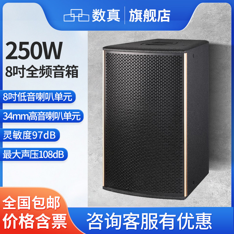 数真专业全频音箱高保真8吋/10吋/12吋/15吋音响250W大功率会议室剧院扩声补声舞台SZ-K8