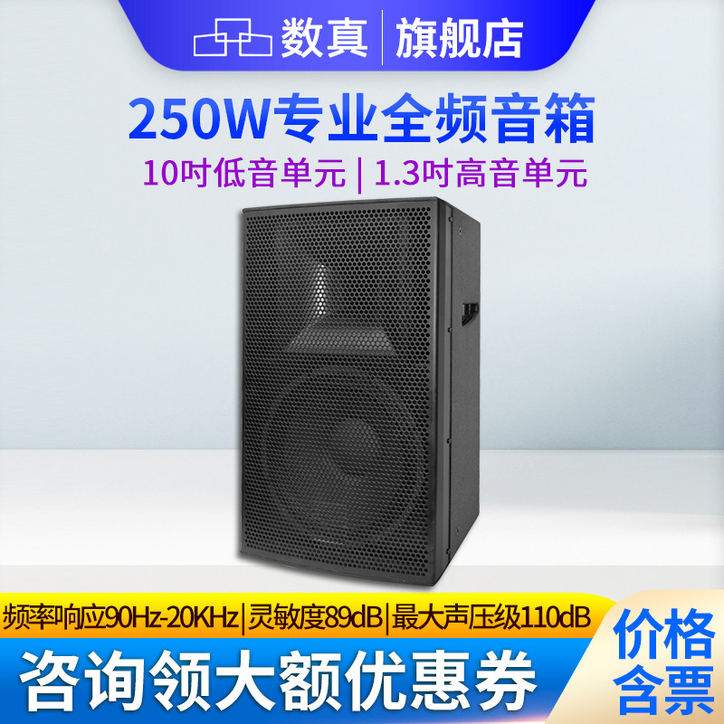 数真专业全频会议音箱10吋/12吋/15吋250W大功率音响婚庆演出会议校园广播户外SZ-CT310