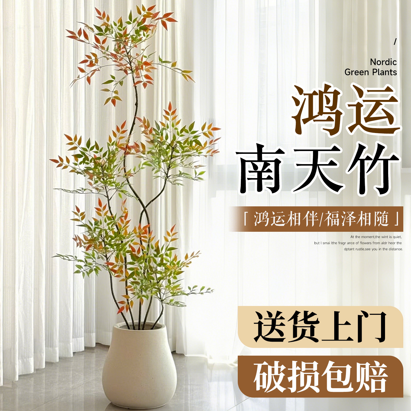 南天竹客厅大盆栽真树火焰红