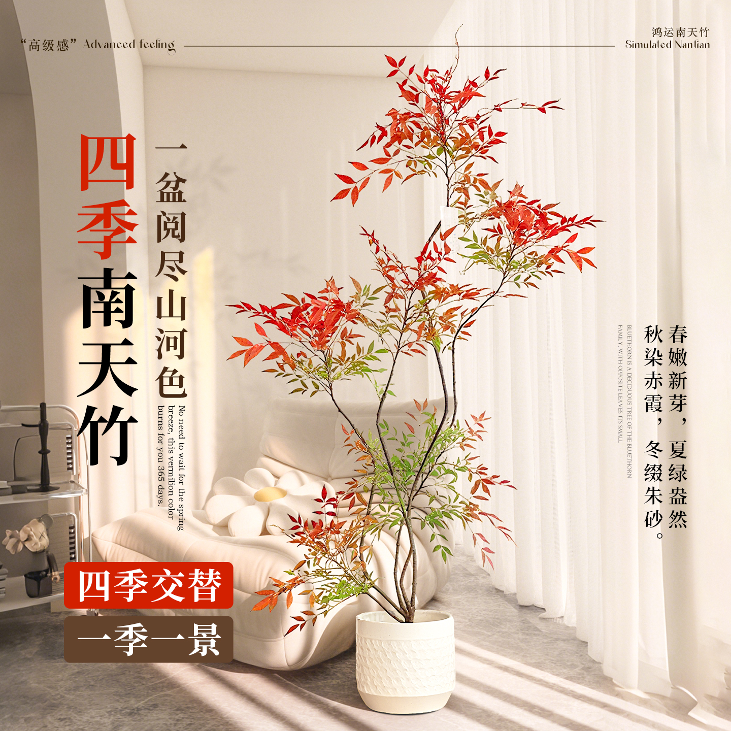 南天竹客厅大盆栽真树火焰红