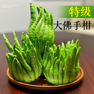 金华佛手柑鲜果闻香观赏香薰