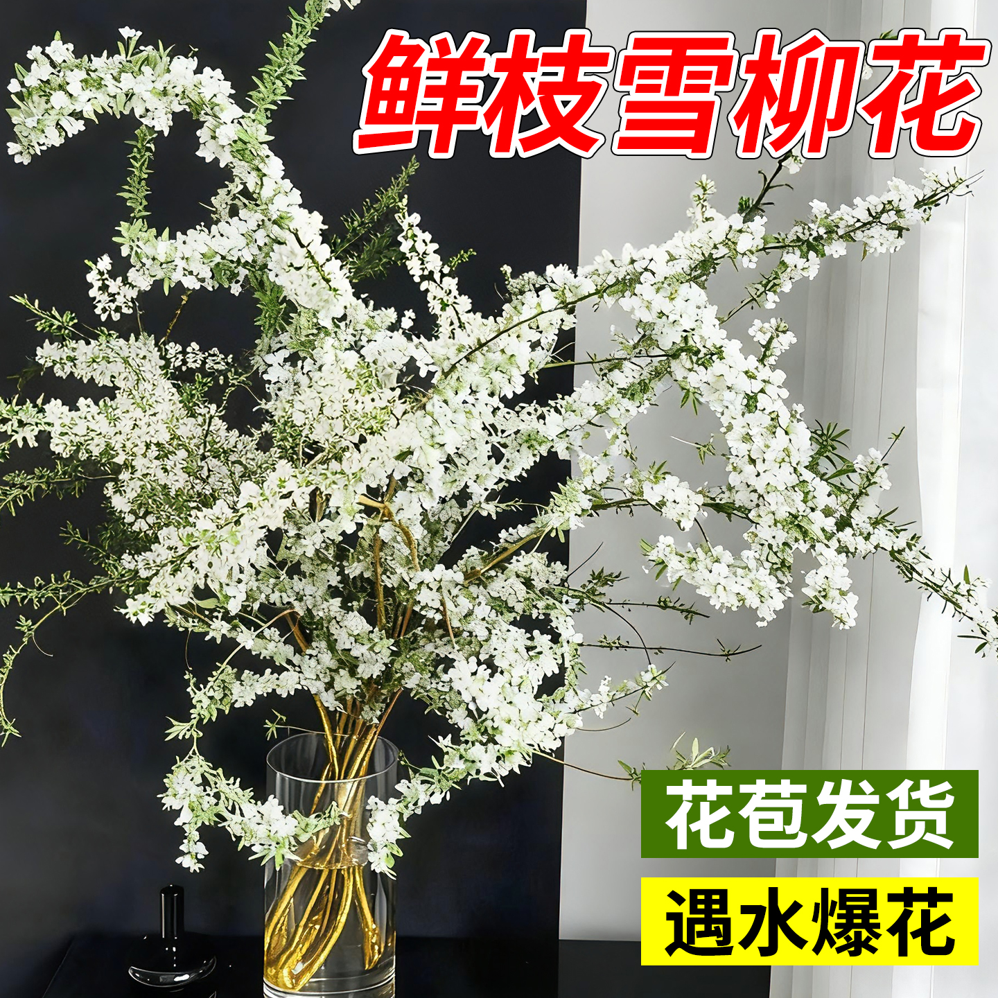 雪柳鲜枝带花苞水养干枝客厅水培植物龙柳鲜花卉插花绿植枝条好养