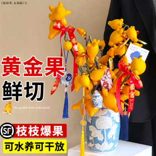 五代果鲜切五代同堂黄金果花束鲜花北美冬青插花鲜切花真花卉绿植