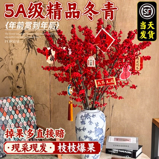 北美冬青红果真花鲜切花年宵花客厅旺宅水培鲜花切枝盆栽鲜枝银柳