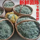 2026年武当山新鲜现挖茵陈正月二月白蒿春季 野菜农家绵茵陈嫩茵陈