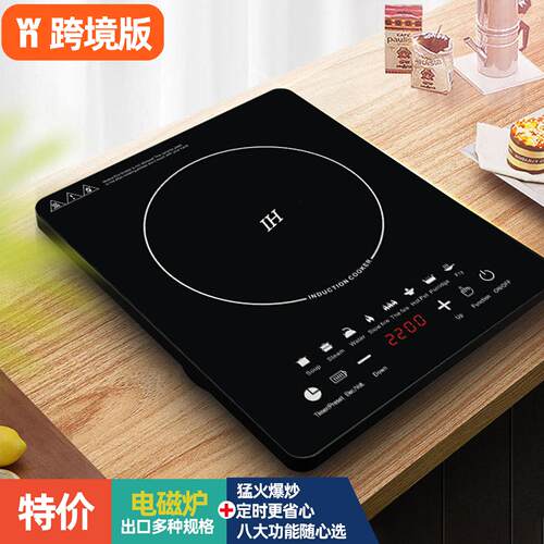 电磁炉炒菜小型迷你家用110v伏电压出口小家电台湾香港美国用美规
