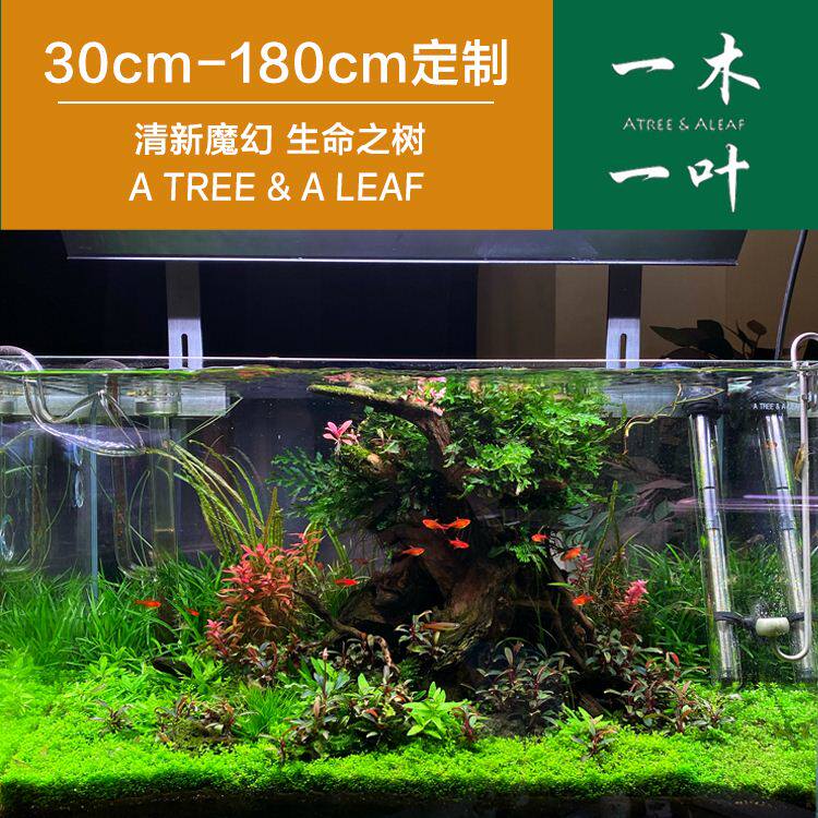 生命之树 老李网红景 可定制 1对1指导一木一叶造景 沉木造景草缸