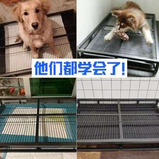 狗狗上厕所狗便盆专用狗厕所防吃屎尿盆公母狗大狗大型犬特大号