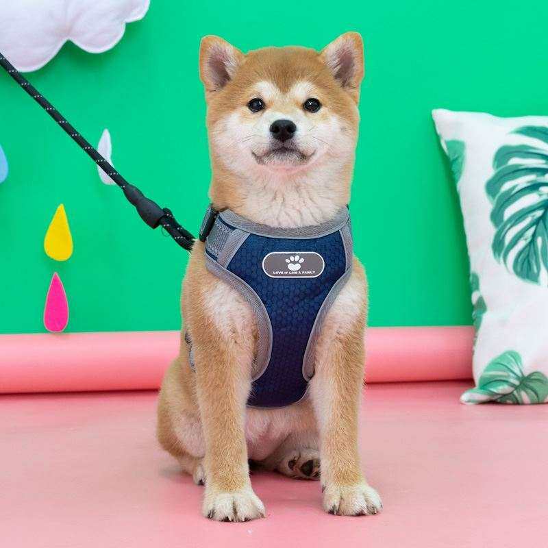 狗带牵引带项圈萨摩耶幼犬用品猛犬栓狗链狗狗牵引绳狗子背心式