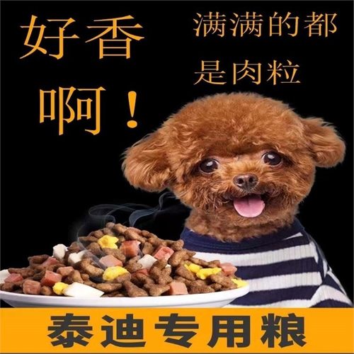 泰迪狗粮牛肉味全期62
