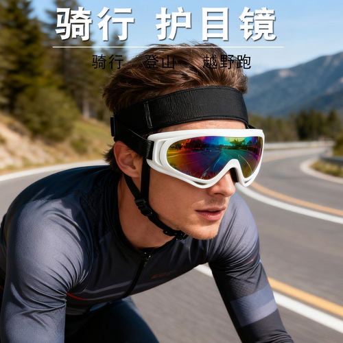 骑行护目镜户外运动防风眼镜