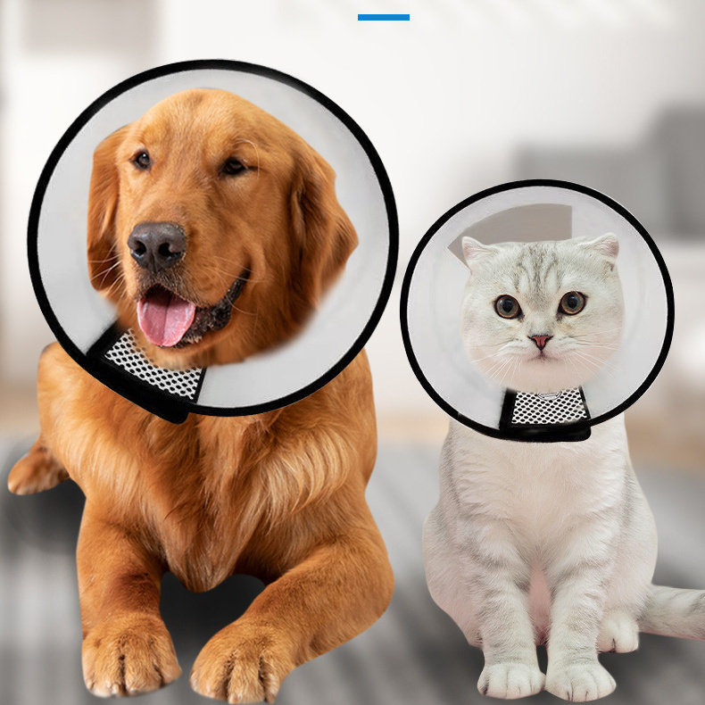 伊丽莎白圈狗加深可调节宠物保护罩狗头套防水猫咪防舔脖圈猫围脖,宠物/宠物食品及用品,宠物伊丽莎白圈,淘宝优惠券,粉丝福利购,淘宝优惠卷