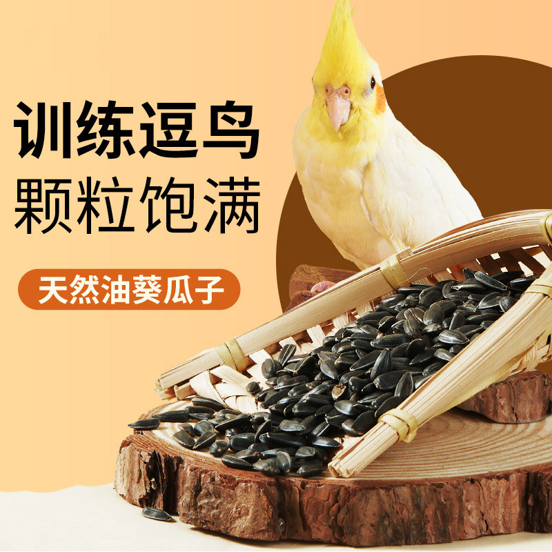 鸟食训练奖励零食油葵小瓜子鸟粮食玄凤虎皮鹦鹉吃的葵花籽