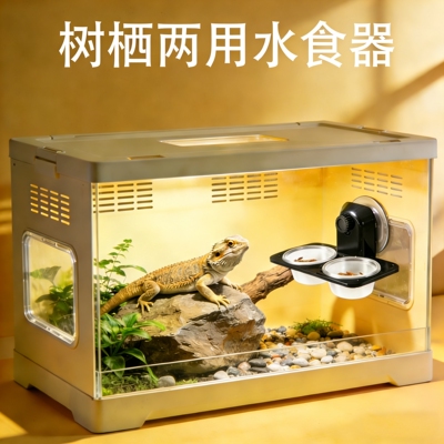 爬虫水盆食盆睫角守宫喂食台甲虫果冻台  Gecko Feeder Ledge