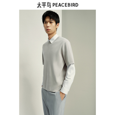 【商场同款】太平鸟男装T恤25春夏新款重磅短袖上衣潮 B1EEF1410