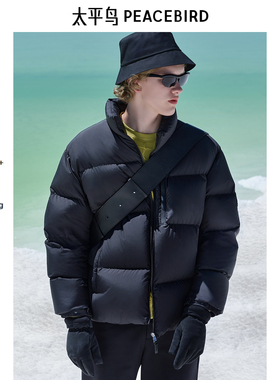【商场同款】太平鸟男装 2024年冬季黑色鹅绒羽绒服B1ACE4447