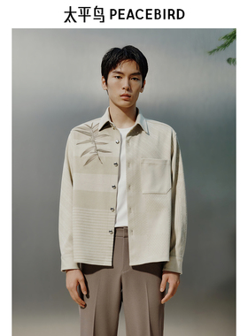 【商场同款】太平鸟男装 2025年春季新款衬衣长袖衬衫男B1CHF1417