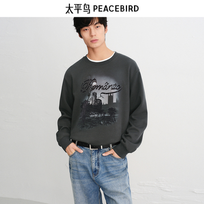 PEACEBIRD/太平鸟套头[商场同款]