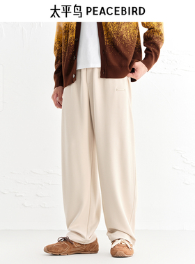 【商场同款】太平鸟男装休闲裤25秋季新款直筒卫裤潮 B2GMF3440