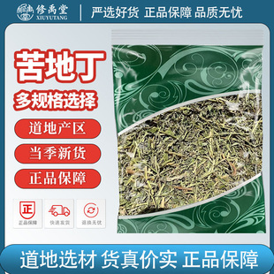 苦地丁中药材野堇菜苦草茶中草药地丁