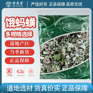 饿蚂蟥中药材正品新货饿蚂蝗中药材饿蚂蝗草