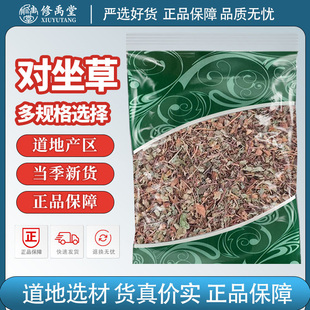 对坐草中药材合掌消神仙对坐草