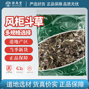 风柜斗草中药材楮风谷风鼓草红风骨草方鼓草小叶风柜斗草
