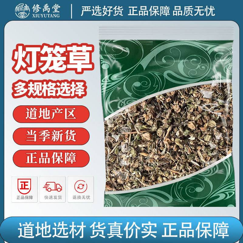 灯笼草中药材鬼灯笼苦锦灯笼黄姑娘果草药断血流