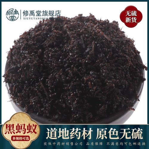 蚂蚁黑蚂蚁中药材250g克