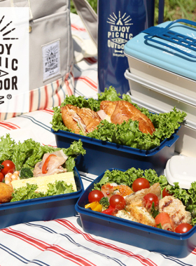 日式多层便当盒 野餐盒户外郊游盒子饭盒可微波炉大容量手提午餐