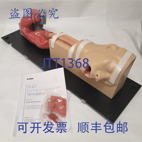 原装供应Koken LM-103 EGD食管胃十二指肠镜模拟器解剖模型