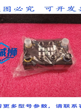 原装供应 土耳其 BLN-4M12WMT-4AI4AO-VI-CS30028