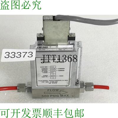 供应TYLAN FM-360 1 SLPM HE 质量 Flusso Metro