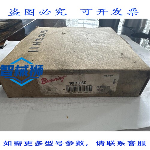 现货供应 REGAL REXNORD 30H100SD/30H100SD（开盒）
