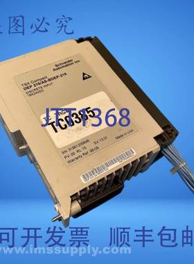 原装供应216/AS-BDEP-216 输入模块 USIP