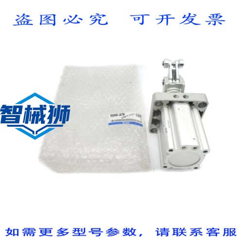 现货供应 RS2H50-30TM NSMP