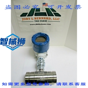 原装供应 E 系列流量指示器总表，带 2 个 TMO200L-VIC 流量计