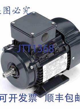 原装供应Marathon MR307 IEC 电机 三相 1/2 71 TEFC