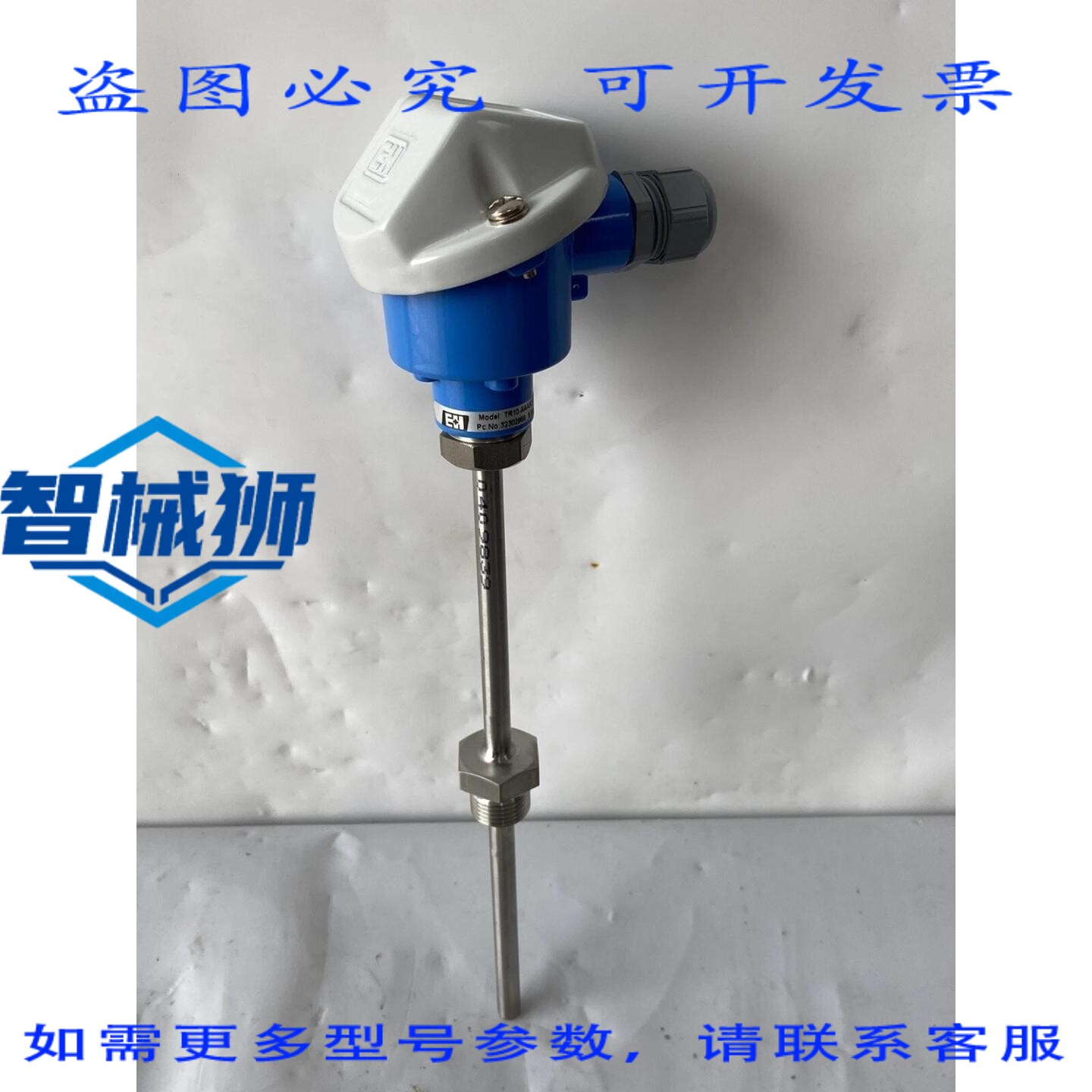 现货供应 现货 E+H 温度开关 TR10-AAA1CASCG3000 L=120MM 200 摄