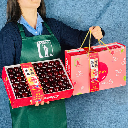 精品鲜果5J超大果黑车厘子礼盒