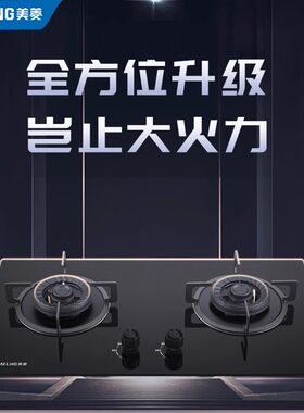 美菱燃气灶具台嵌两用液化气炉