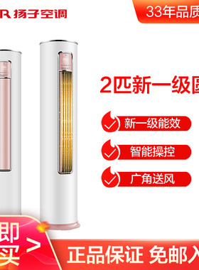 扬子空调2p匹新一级能效变频冷暖