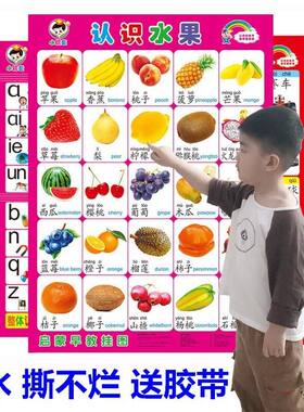 婴儿早教贴纸宝宝看图识物小儿识字挂图幼儿启蒙学前儿童贴墙画无