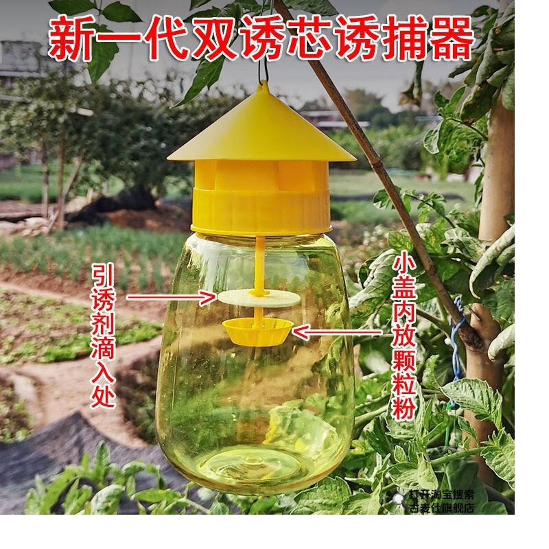 新款果蝇引诱剂诱捕器瓜果实蝇针蜂果园菜地果蝇引诱剂内含捕抓器