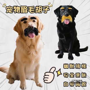 狗狗假胡子装饰眉毛搞怪可爱粗眉毛八字胡宠物拍照道具脸部配饰品