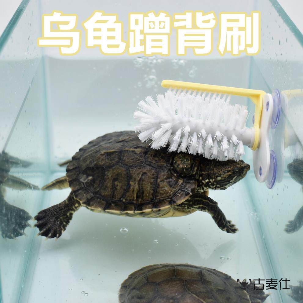 乌龟蹭背刷龟甲水龟清理吸盘式巴西龟甲壳清洁神器宠物磨背小刷子