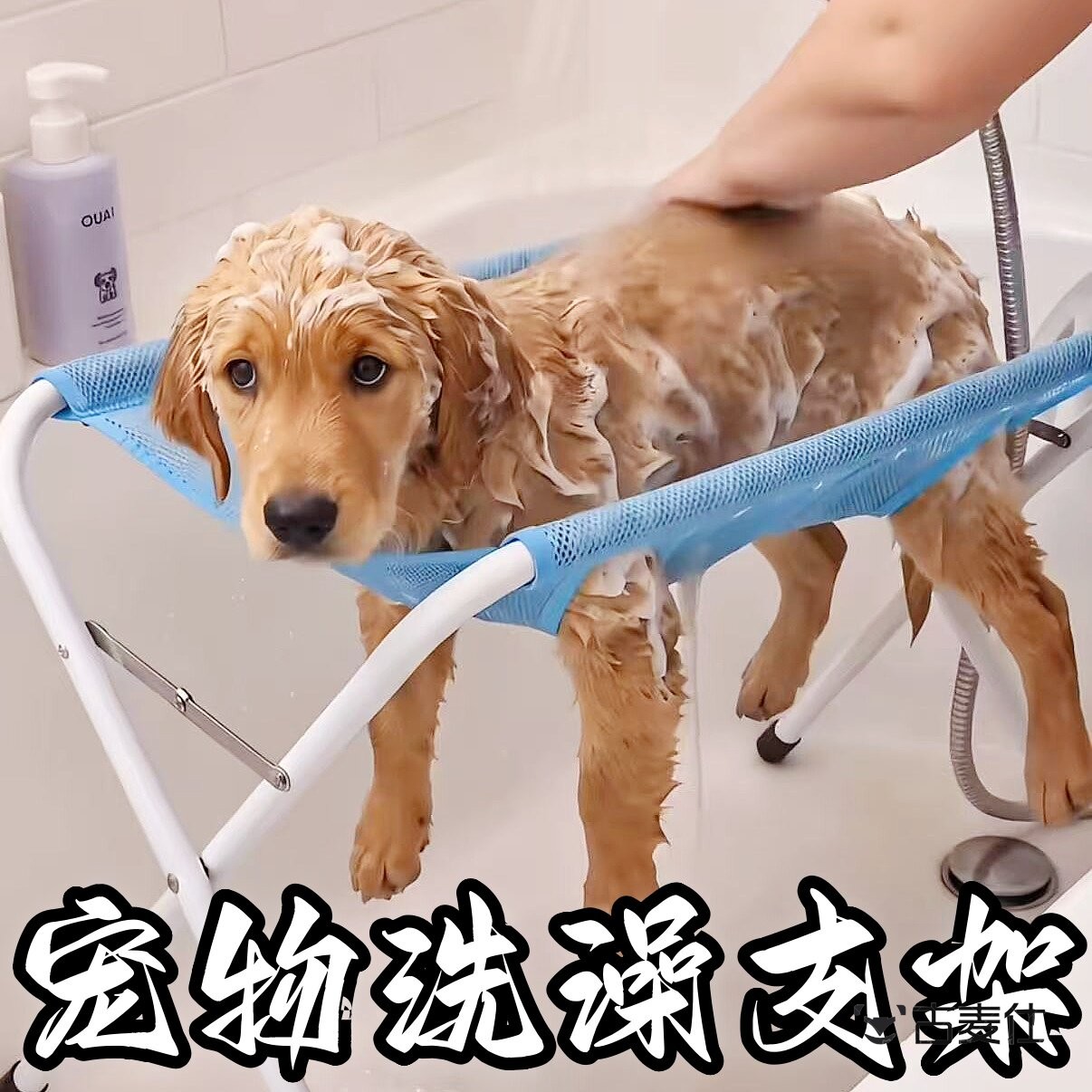 宠物狗狗洗澡固定器猫咪小型犬小狗吹毛架子吊床支架防抓洗猫神器